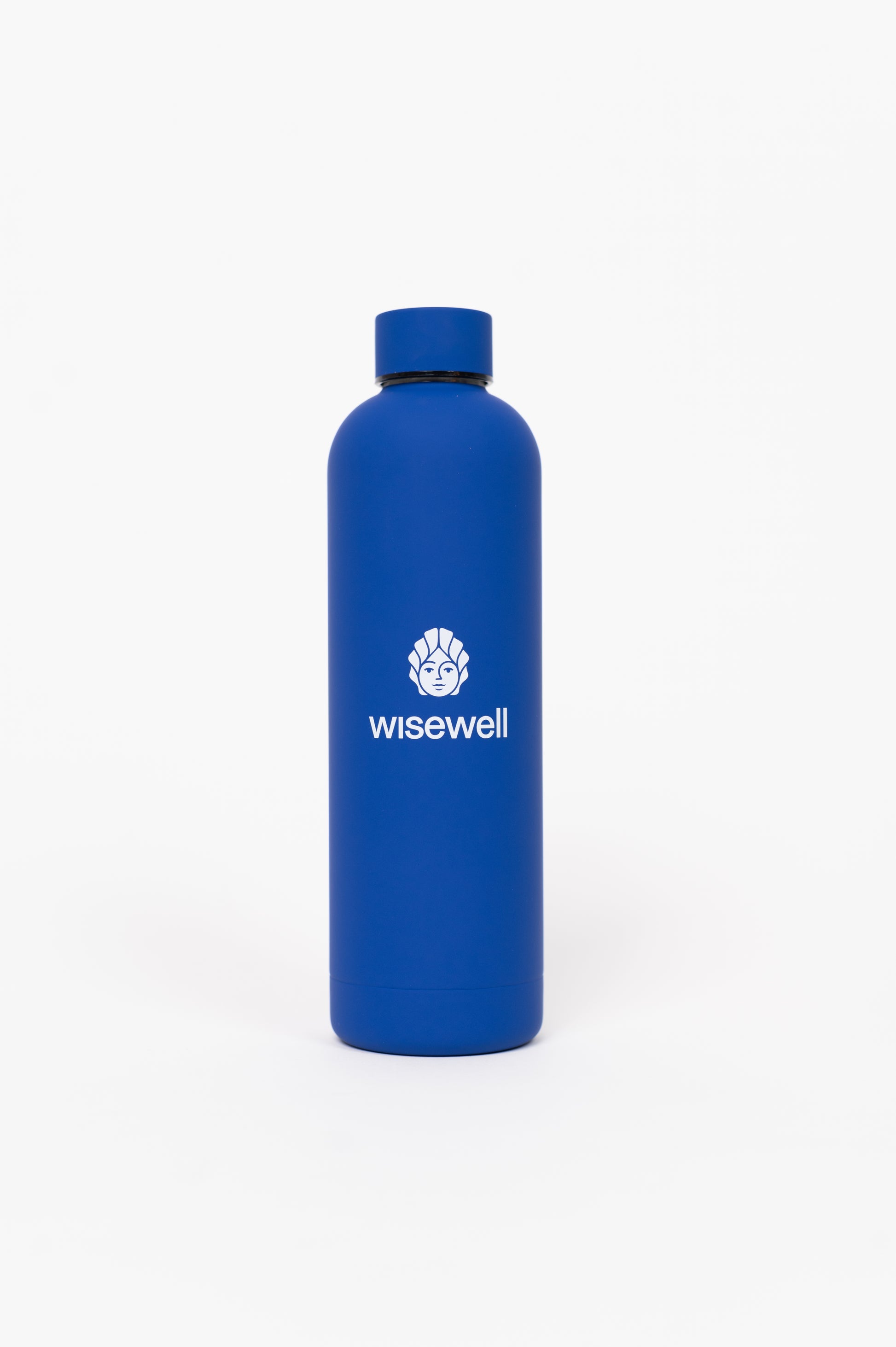 blue  Matte Steel Bottle