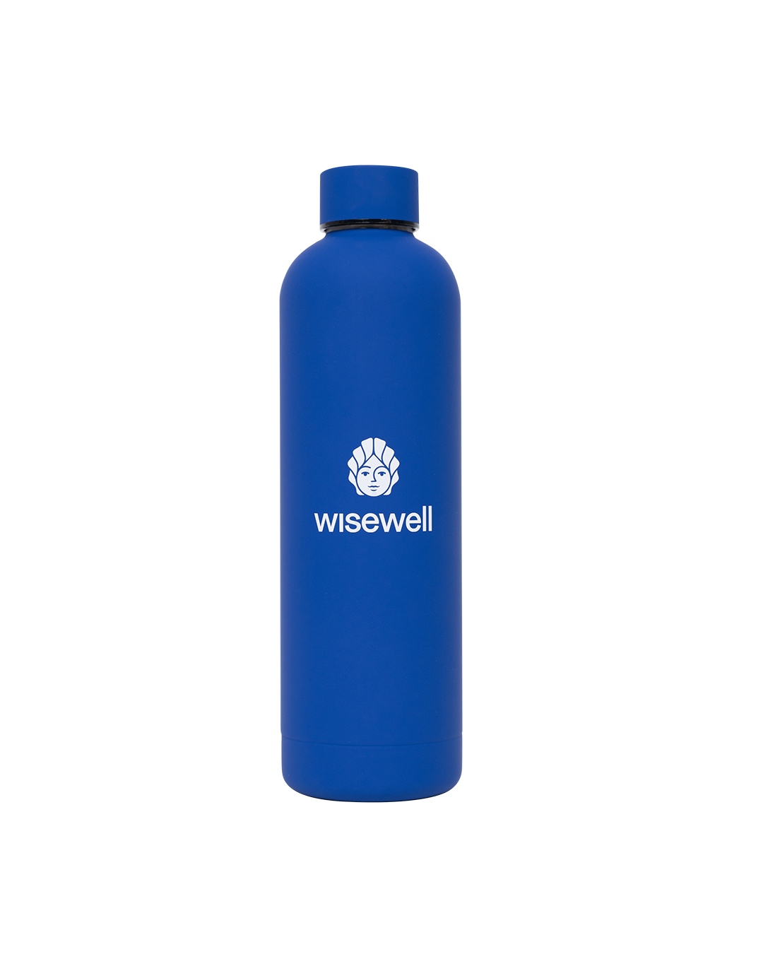blue Matte Steel Bottle