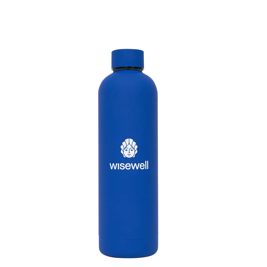 blue Matte Steel Bottle