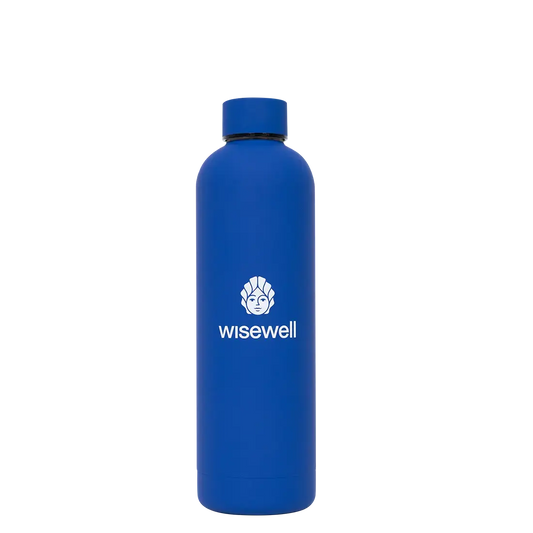 blue  Matte Steel Bottle