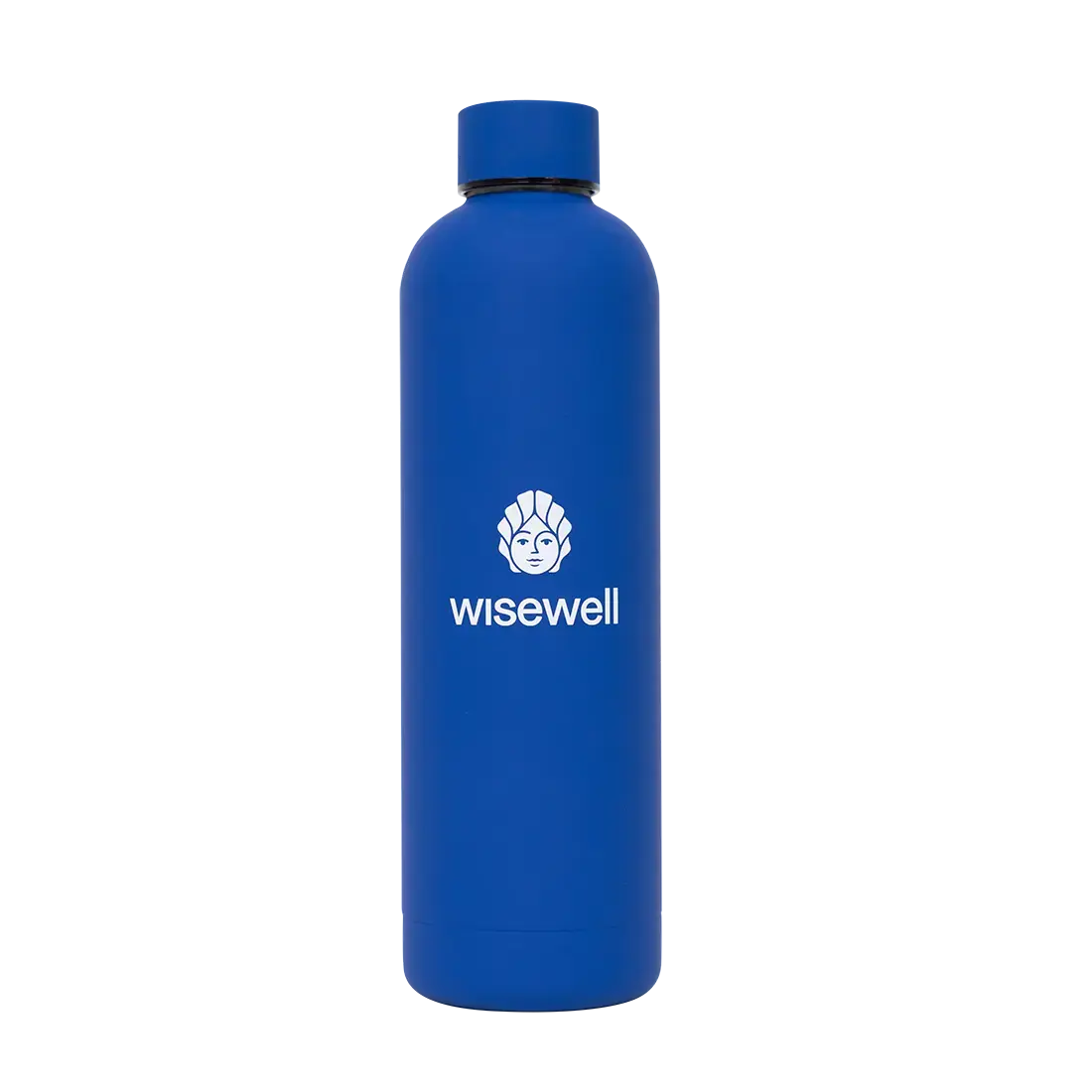 blue  Matte Steel Bottle