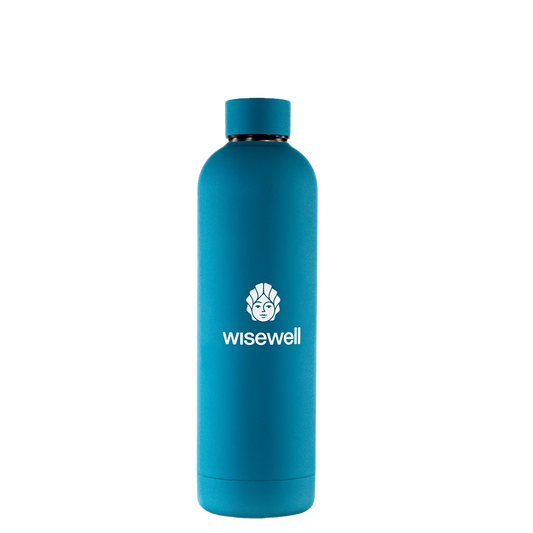 blue  Matte Steel Bottle