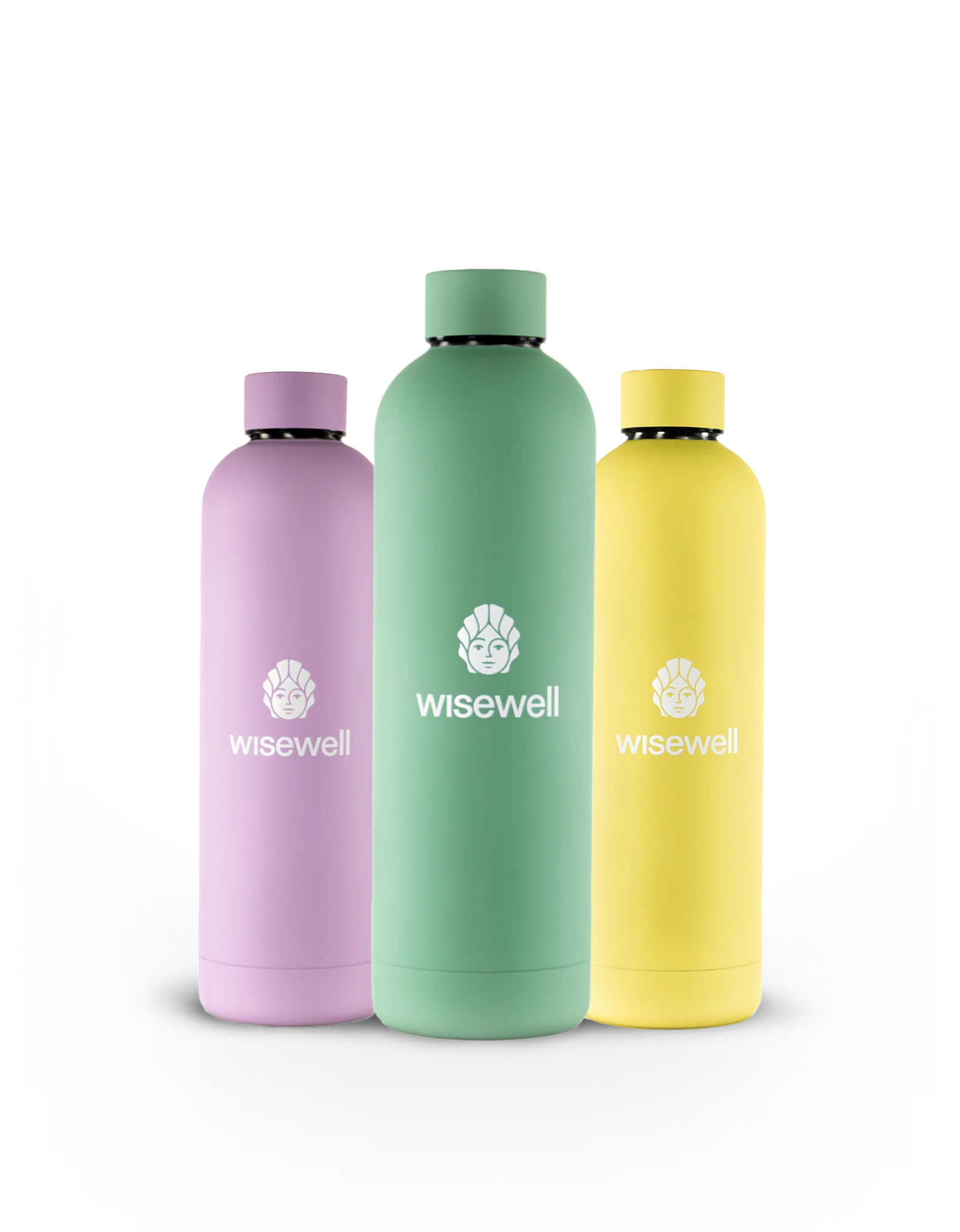 Best reverse osmosis system wisewell ae